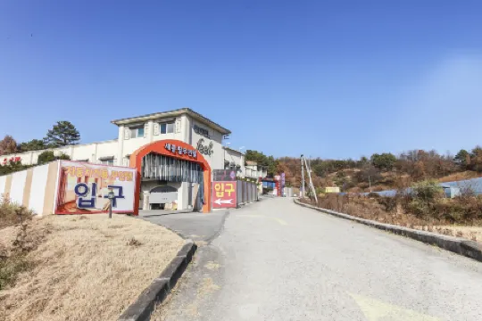 Sejong Feel Drive-IN