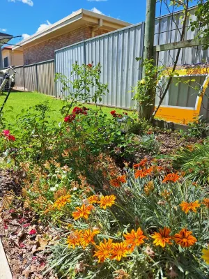 Mudgee Explorer Lodge.Owned by Mudgee Wine Explorer Tours