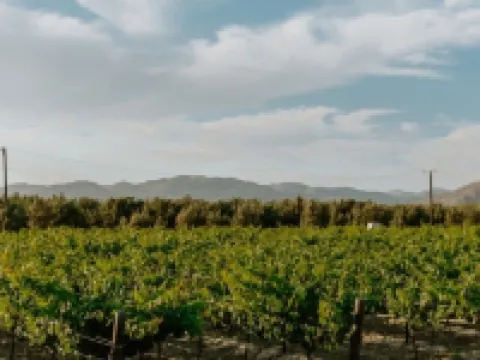 Campera Valle de Guadalupe Hoteles en Ensenada