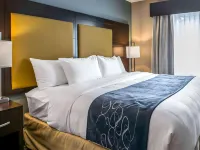 Comfort Suites Fort Lauderdale Airport South & Cruise Port Hotels in Dania Beach