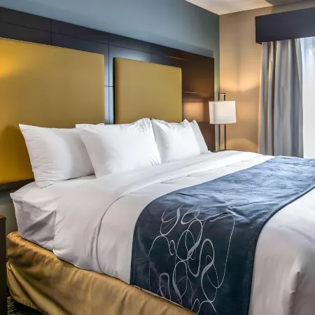 Comfort Suites Fort Lauderdale Airport South & Cruise Port