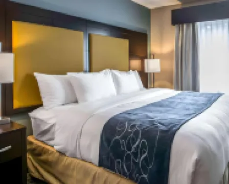 Comfort Suites Fort Lauderdale Airport South & Cruise Port