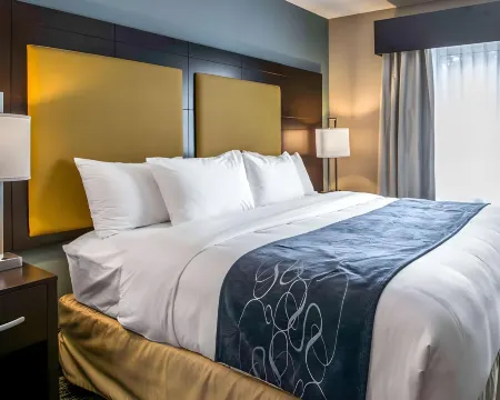 Comfort Suites Fort Lauderdale Airport South & Cruise Port