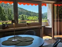 Holiday Apartment “Vogelnest” with Black Forest View in Baiersbronn