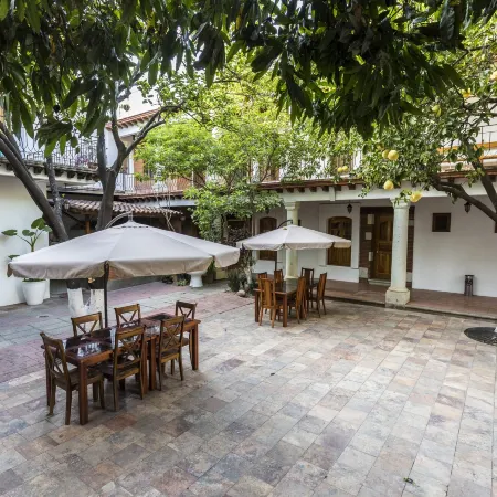 NaNa Vida Hotel Oaxaca Отели рядом с достопримечательностью «Церковь Санто-Доминго»