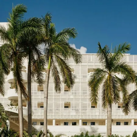 Palm Heights