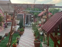 Pensiunea Alexa Hotels in Bacau