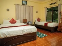 Peacock - a Family-Run Hotel Hotels in Sauraha