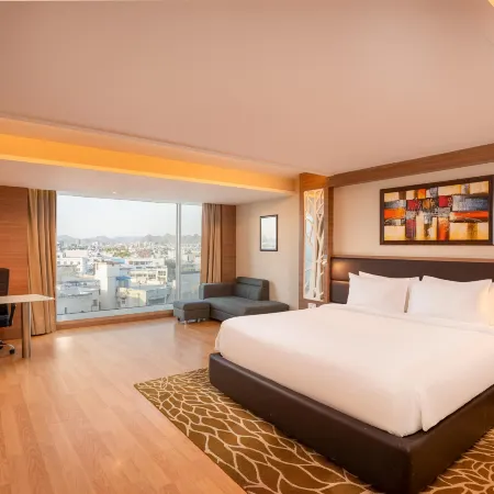 Radisson Udaipur
