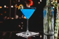 Somerset Inn Troy - bar