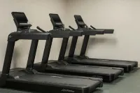加蒂諾公園酒店，希爾頓啟繽精選 - 健身室/gym room