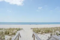 漂流木旅館 - Wi-Fi