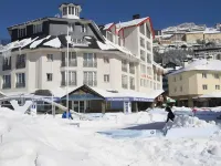 Inside Plaza Sierra Nevada - Pet friendly