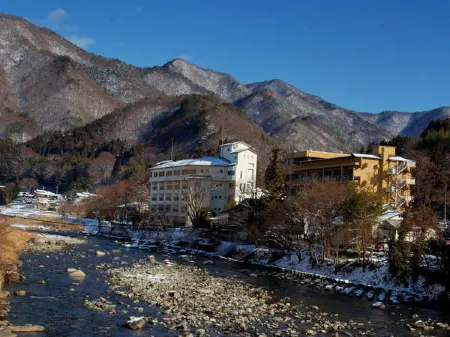 水上溫泉辰巳館