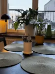 Rindö Hamn Bed & Breakfast - sarapan
