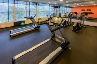 City Express Plus by Marriott Bogota Aeropuerto - ペット同伴可