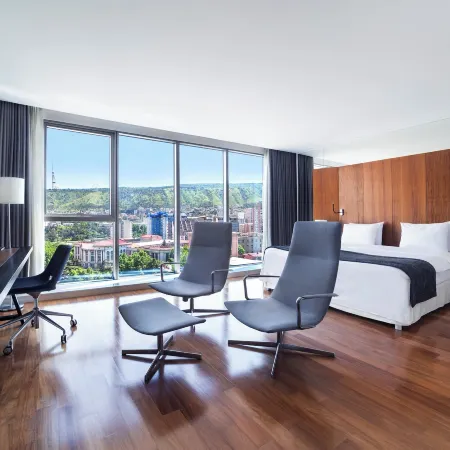 Holiday Inn TBILISI by IHG