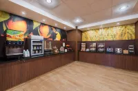 萬豪國際萬楓飯店及套房昂卡斯維爾莫希根太陽地區 - Wi-Fi