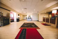 Hampton Inn & Suites Minot Airport - Pools
