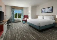 Hilton Garden Inn Olive Branch - Wifi