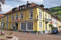 Black Forest Hotel Todtnau - 3-Star