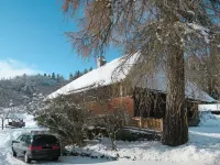 Bistenhof - Pet friendly