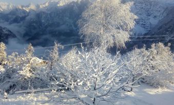 Himalayan High, Auli, by Himalayan Eco Lodges