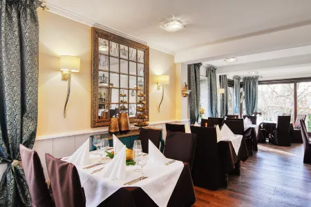 Hotel-Restaurant Central am Königshof Отели в г. Бергштрасе