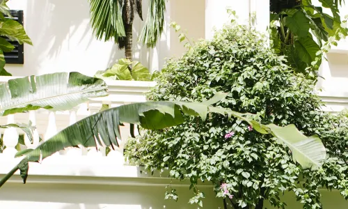 Anantara Hoi An Resort