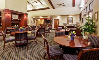 Holiday Inn & Suites Peachtree City