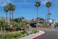Hilton San Diego/Del Mar - Wifi