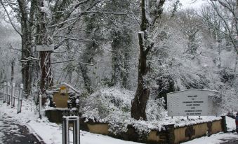 a snowy scene with a signpost , trees , and a monument in the background , indicating that it is a park at Cwmbach Guest House