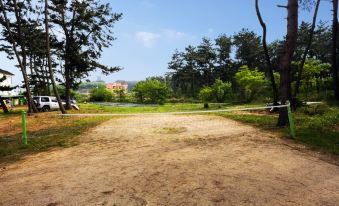 Taean Cheongpodae White Castle Pension