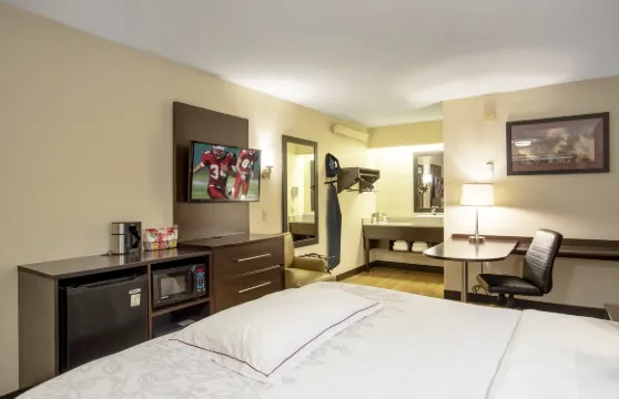 密歇根州北安阿伯紅屋頂酒店