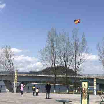 湖景度假公寓綠城6號樓(新安北路1號分店) Others