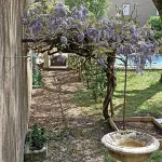 La Grande Maison Mazamet Hotels in Lacabarede