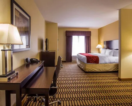 Comfort Suites Simpsonville - Greenville