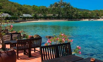 a serene beach scene with several wooden benches and tables set up along the shoreline at Whale Island Resort