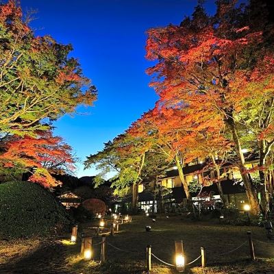 ホテル周辺 箱根湯本温泉 吉池旅館の写真