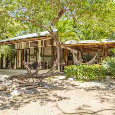 Ocho Artisan Bungalows Hotel Exterior