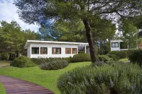 Ethra Reserve Alborèa