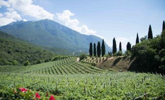 Agritur Casteller