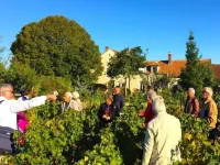 Les Temps Perdus Hotels in Saint-Cyr-les-Colons