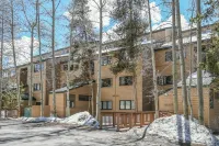 Quicksilver 1605 by SummitCove Lodging Hotel a Keystone