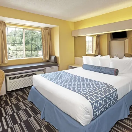 Microtel Inn & Suites by Wyndham Stockbridge/Atlanta I-75