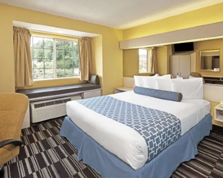Microtel Inn & Suites by Wyndham Stockbridge/Atlanta I-75 Hotels in Henry County