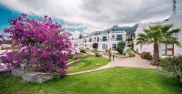 The Olive Tree Hotel - Pools