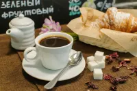 Lovech Sport