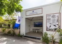 Plumeria Maldives Hotels near Felidhoo