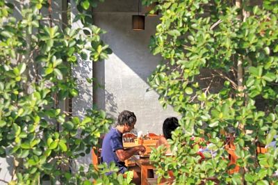 庭 カタラッキー ヴィラ&プールアクセス プーケットの写真